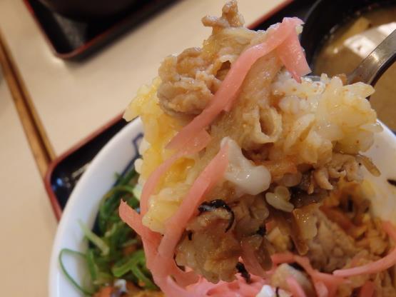 松屋のビビン丼　　　　　　箕面店_c0118393_11482568.jpg