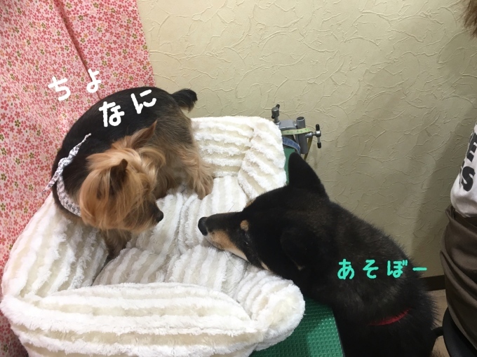d0269898_23410368.jpeg