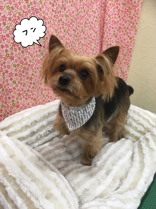 d0269898_23411915.jpeg