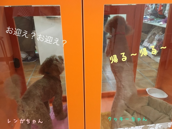 d0269898_23414301.jpeg