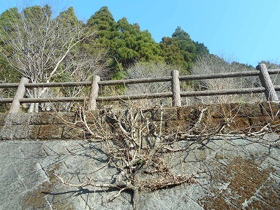 f0308898_19462340.jpg