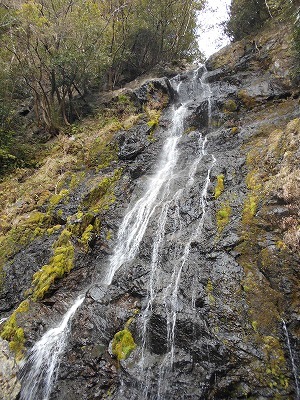 f0308898_20172661.jpg