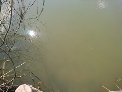 f0082402_21380201.jpg