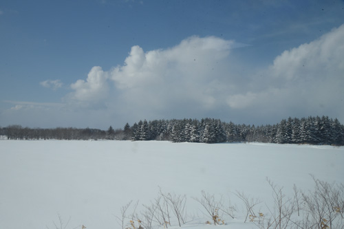 はじっこと真ん中と　北海道真冬の鉄道旅　その５　スーパー宗谷その３_a0101905_22204752.jpg