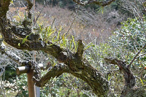 a0278809_17531872.jpg