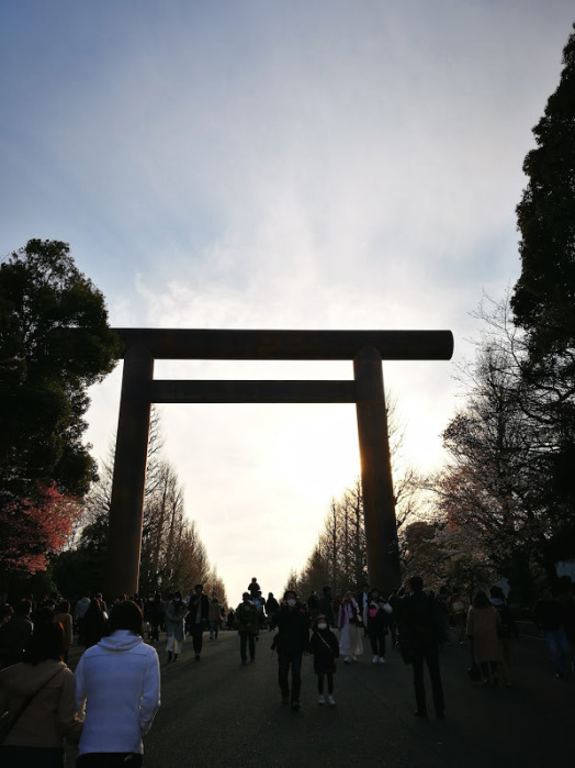 靖国神社の桜_c0114110_22153355.jpg