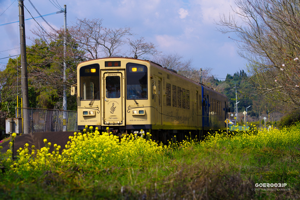 d0107811_20461015.jpg