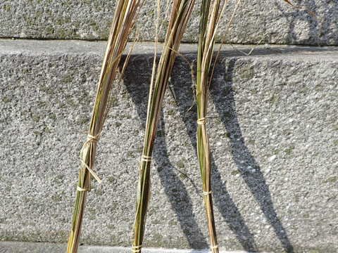e0293913_015186.jpg