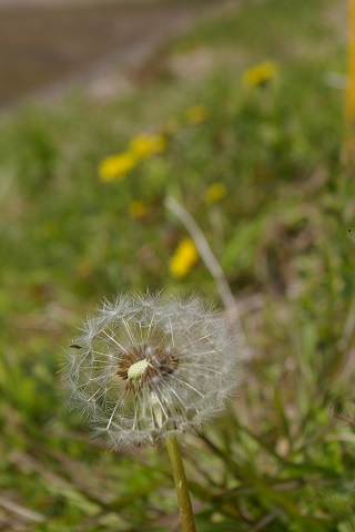 b0275715_2181316.jpg