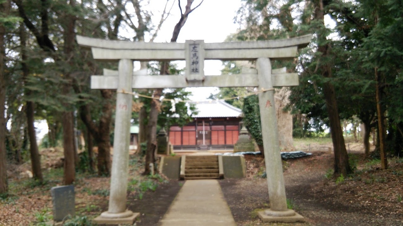 サバ神社に行ってきた_b0228416_11381002.jpg