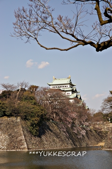 名古屋城の桜 〜名古屋なんて、だいすき〜_d0348118_10210245.jpg