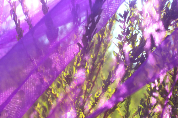 a0329820_18212892.jpg
