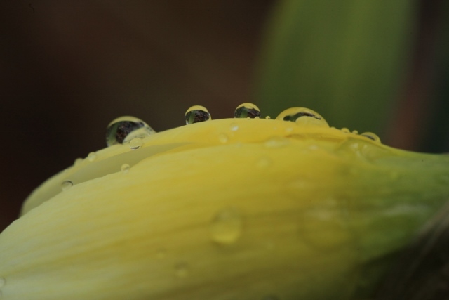 ～　冷たい雨に　～_e0242721_08055375.jpg