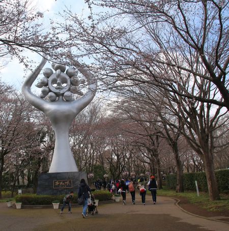 ４月２日の桜　アンデルセン公園で_e0108126_07234231.jpg