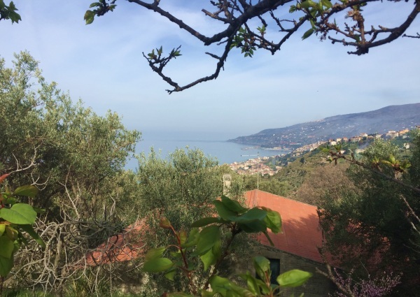 2017南イタリア旅行記その３　カラブリア①アニータさんのおもてなし_d0041729_23361315.jpg