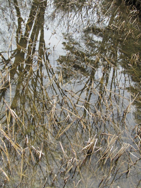 f0117041_14470457.jpg