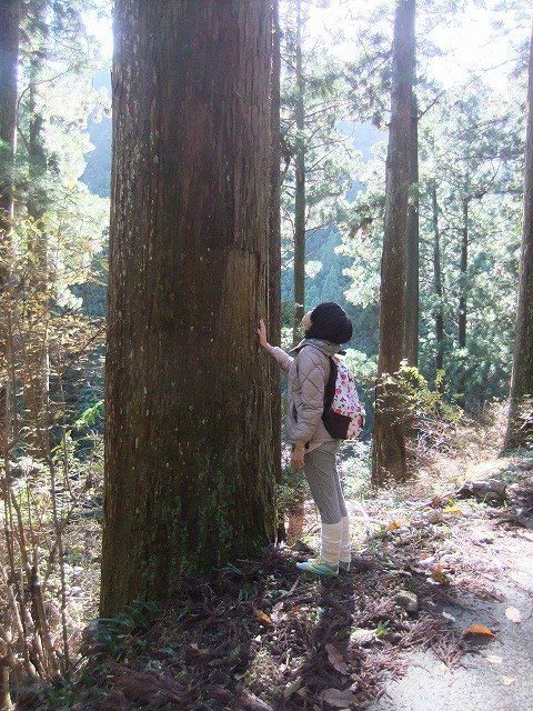 4月29日「第17回吉野の森見学バスツアー」のお知らせ_a0116442_23115248.jpg