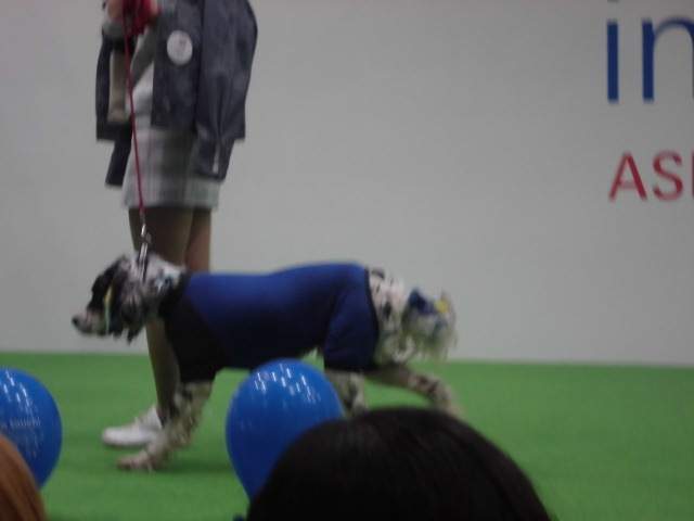 f0250542_17385998.jpg