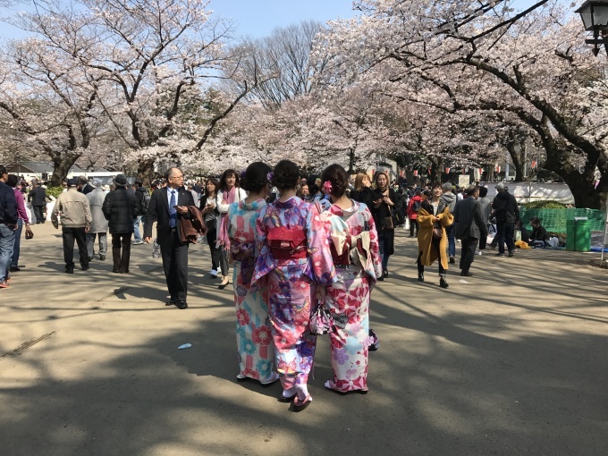 桜満開ですね❁_f0140343_15251060.jpg