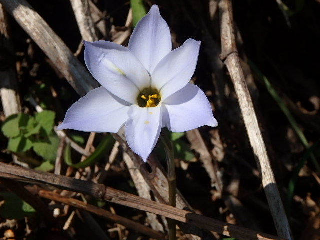 f0334143_833113.jpg