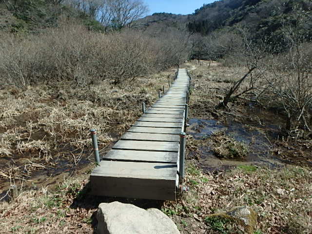f0334143_8362063.jpg