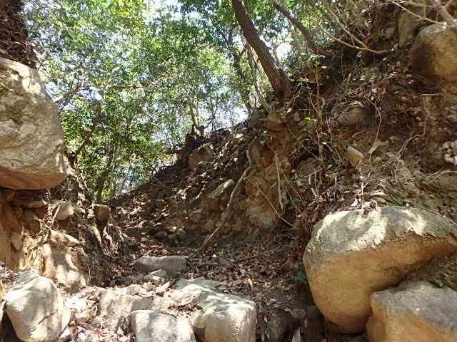 f0334143_8392911.jpg