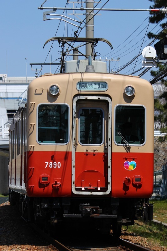 阪神武庫川線　武庫川〜東鳴尾間で赤胴車を撮影。_f0355843_16054173.jpg