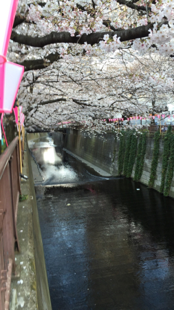 b0147947_19520511.jpg