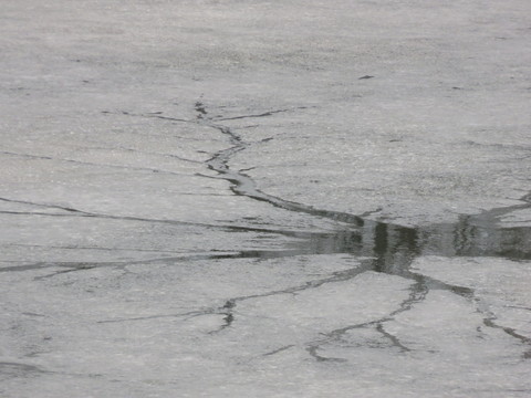 b0238249_10411711.jpg