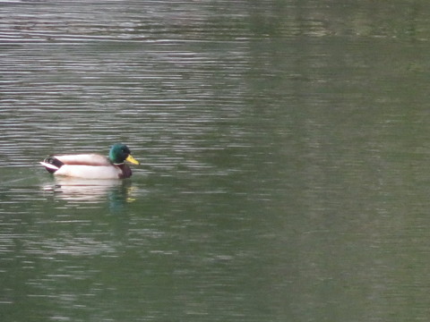 b0238249_10421036.jpg