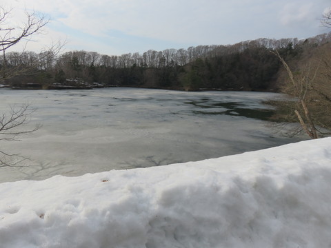 b0238249_10494158.jpg