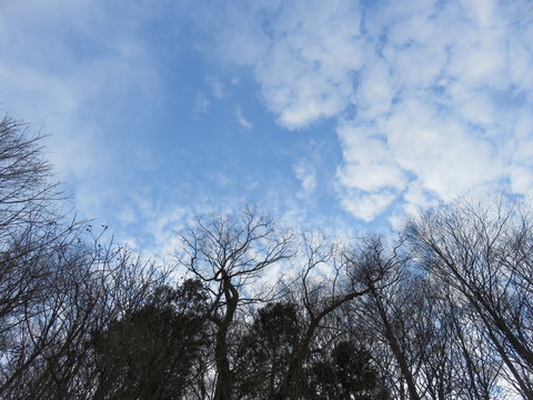 b0238249_1053788.jpg
