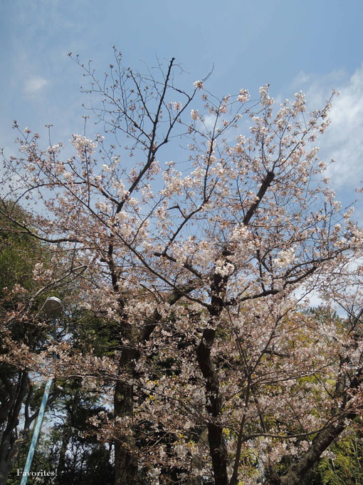 f0360256_11551789.jpg
