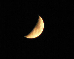 a0248459_14475640.jpeg