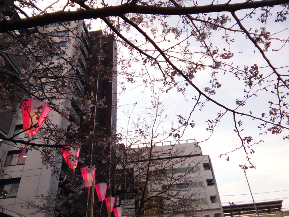 c0299360_1382559.jpg