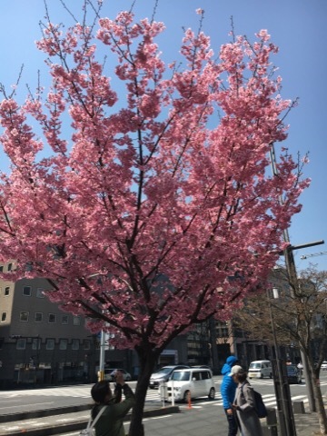 f0363168_17214539.jpg