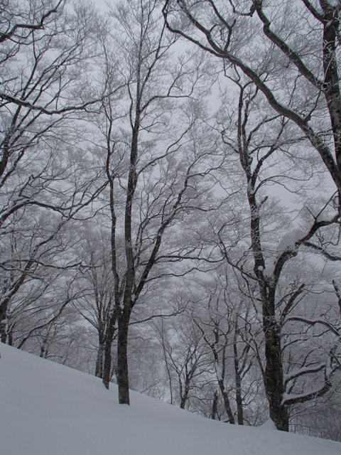 a0344771_17045408.jpg