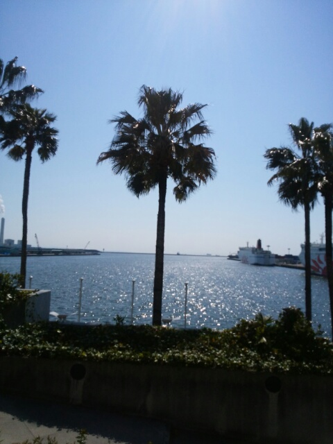 f0200871_0405569.jpg