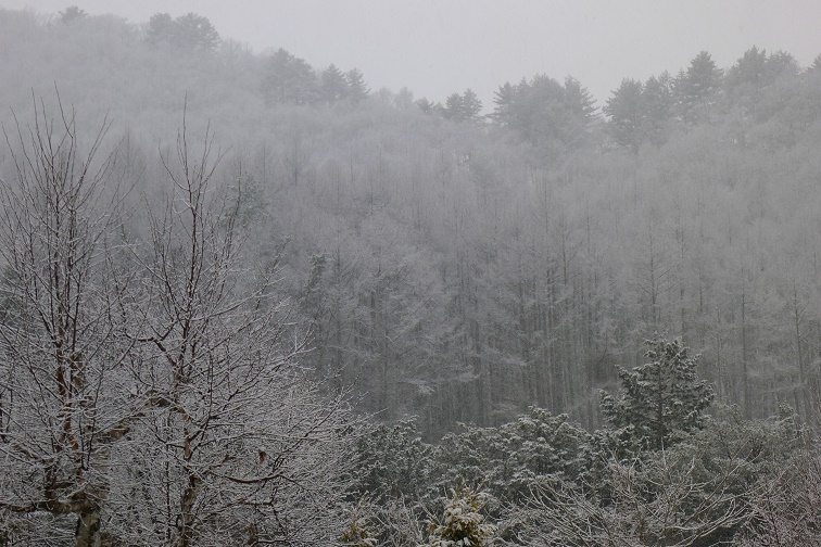 ４月３日、「昼刊」 また、雪、、、_a0130586_16352913.jpg