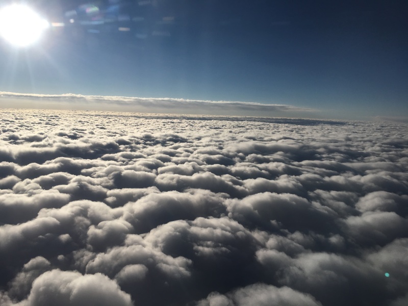 a0107193_21403803.jpeg