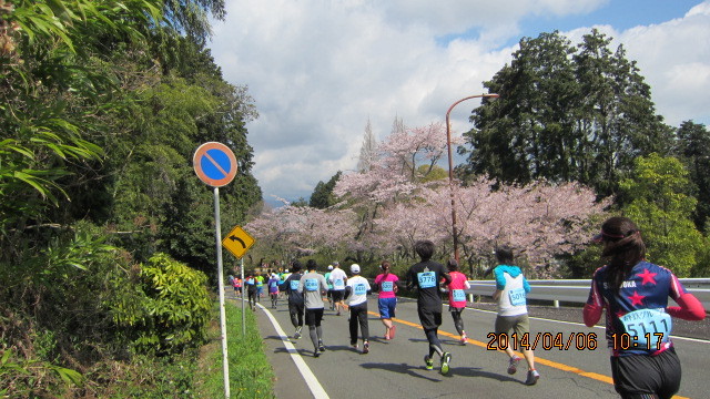 c0133096_20565451.jpg