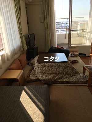 f0372998_19584546.jpg