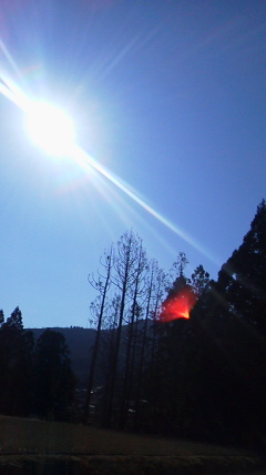 c0272200_37567.jpg