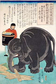 浮世絵動物園　前期　＠太田記念美術館_b0044404_21114565.jpg