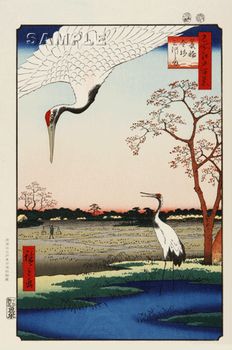 浮世絵動物園　前期　＠太田記念美術館_b0044404_2220483.jpg