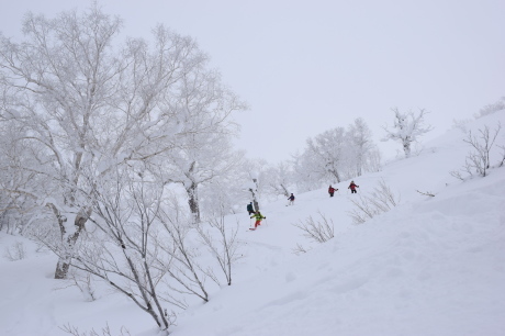 2017年1月21日朝里岳を滑る　-1_c0242406_09162474.jpg