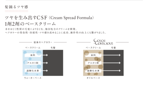 新しいカラー剤のご紹介_e0000910_14492819.png