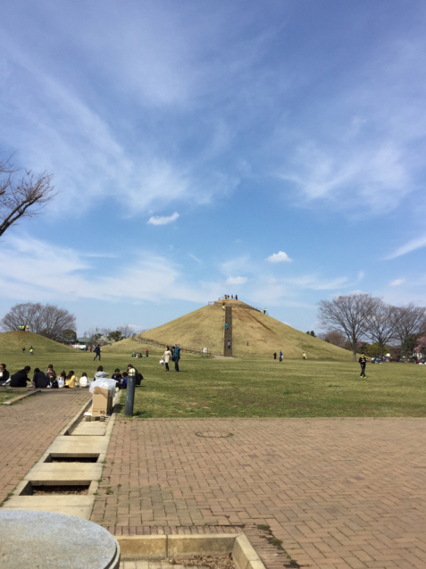 吉川なまずの里マラソン_f0296312_19293194.jpg