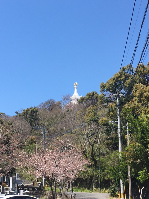 花岡山とお城の桜と桜アイスとひさいめしとねこもくわない ひよこ雑貨店 4冊目 花岡山とお城の桜と桜アイスとひさいめしとねこもくわない ひよこ雑貨店 4冊目