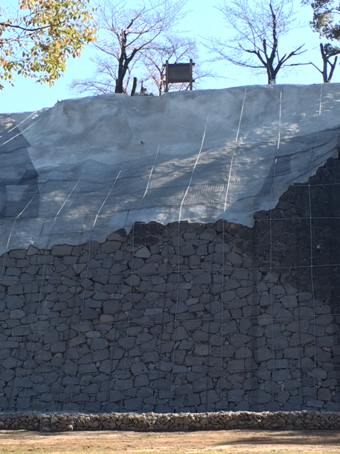 f0369914_21004284.jpg